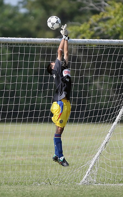 c7娱乐官方网站